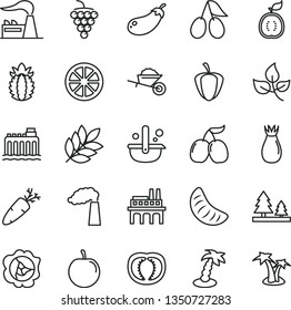 thin line vector icon set - garden trolley vector, carrot, large grape, squash, rose hip, cornels, tasty, slice of tangerine, plum, juicy lemon, half guawa, ripe pineapple, tomato, pepper, eggplant