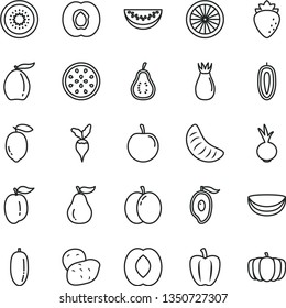 thin line vector icon set - beet vector, apple, half apricot, raspberry, rose hip, of mango, loquat, peach, water melon slice, date fruit, tangerine, ripe plum, tasty, sweet, lemon, kiwi, passion