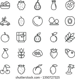 thin line vector icon set - lettuce in a plate vector, glass of tea, blueberries, strawberries, pear, orange, mint, cherry, ripe peach, half apricot, strawberry, rose hip, blackberry, blueberry