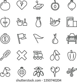 thin line vector icon set - wind direction indicator vector, cross, electronic thermometer e, toy sand set, baby train, yule, colored air balloons, concrete mixer, broken heart, flag, chili, cherry
