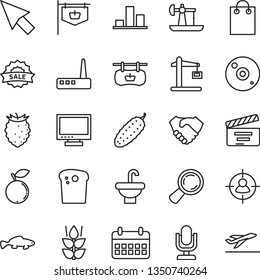 thin line vector icon set - desktop microphone vector, monitor, movie cracker, washbasin, Easter cake, cucumber, small fish, mint, tasty raspberry, blueberry, oil derrick, Construction crane, chart