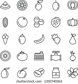 thin line vector icon set - tomato vector, beet, coffee beans, cone, jar of jam, strawberries, pear, orange, honeycombs, ripe peach, grape, quince, loquat, passion fruit, sweet date, juicy lemon