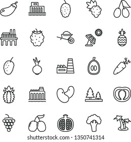 thin line vector icon set - garden trolley vector, beet, carrot, a pineapple, half pomegranate, grape, large, cornels, blackberry, mulberry, tasty, loquat, ripe, tomato, beans, broccoli, eggplant