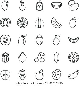 thin line vector icon set - beet vector, strawberry, strawberries, cherry, half apricot, quince, tasty apple, raspberry, medlar, mango, loquat, water melon slice, date fruit, of tangerine, ripe plum