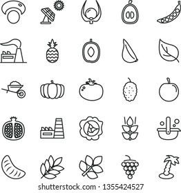thin line vector icon set - garden trolley vector, tomato, garlic, a pineapple, mint, half pomegranate, large grape, squash, mulberry, delicious plum, slice of tangerine, loquat, tasty, physalis
