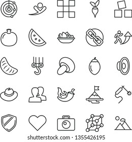 thin line vector icon set - spectacles vector, women, hat, loudspeaker, cubes for children, winch hook, tile, heart, camera, porcini, a plate of fruit, chili, orange slice, pomegranate, tangerine