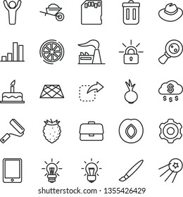 thin line vector icon set - tassel vector, hat, cake, cogwheel, garden trolley, new roller, pavement, move right, beet, plum, tasty raspberry, slice of lemon, factory, magnifying glass, briefcase