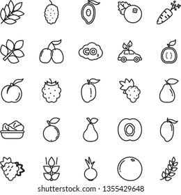 thin line vector icon set - lettuce in a plate vector, beet, blueberries, pear, mint, ripe peach, half apricot, grape, branch of, blackberry, blueberry, mulberry, tasty cornels, mango, plum, guawa