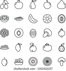thin line vector icon set - onion vector, slices of, porcini, lettuce in a plate, tomato, peach, pomegranate, plum, cornels, fig, medlar, melon, mango, half, slice tangerine, tasty, passion fruit