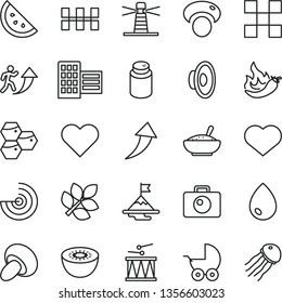 thin line vector icon set - heart symbol vector, loudspeaker, powder, baby stroller, drumroll, city block, tile, ceramic tiles, camera, drop, porcini, a bowl of rice porridge, orange slice, kiwi