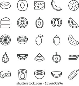 thin line vector icon set - piece of cheese vector, cake, slice, meat, sandwich, melon, water, delicious plum, half peach, tangerine, cherry, lemon, kiwi, tamarillo, orange, coconut, pineapple