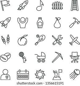 thin line vector icon set - baby carriage vector, small tools, stepladder, hedge, hammer with claw, flag, fried vegetables on sticks, coffee beans, pear, bottle, ripe peach, space rocket, calendar
