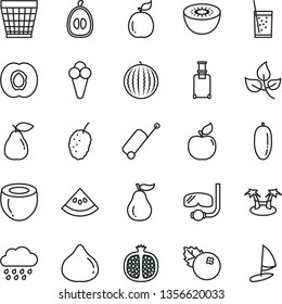 thin line vector icon set - wicker pot vector, rainy cloud, a glass of soda, cone, blueberries, half apricot, pomegranate, pear, fig, tasty mulberry, water melon, date fruit, loquat, kiwi, guava