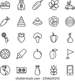 thin line vector icon set - pennant vector, stacking toy, lettuce in a plate, carrot, mint, squash, strawberry, rose hip, water melon, ripe plum, tasty, half of passion fruit, slice, pepper, onion