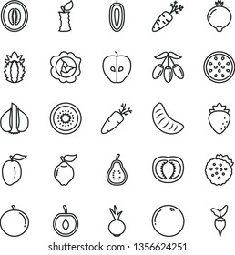 thin line vector icon set - beet vector, carrot, strawberries, squash, quince, tasty apple, raspberry, medlar, goji berry, half melon, tangerine, slice of, ripe plum, cherry, sweet date fruit, kiwi