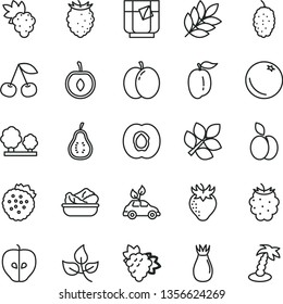 Fruits Vegetables Vector Symbols Line Icons Stock Vector (Royalty Free ...