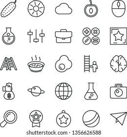 thin line vector icon set - bath ball vector, ladder, camera, earth, suitcase, math actions, planet, porridge in a saucepan, cucumber, fried egg, half cherry, slice of pineapple, round flask, mouse