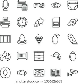 thin line vector icon set - clock face vector, baby cot, storage unit, nappy, garden trolley, window frame, calculation, knife, eye, book, microphone, fish, large grape, half peach, lemon, tamarillo