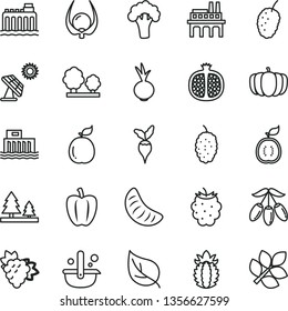 thin line vector icon set - beet vector, half pomegranate, branch of grape, blackberry, mulberry, tasty, goji berry, slice tangerine, guava, guawa, ripe pineapple, physalis, Bell pepper, broccoli