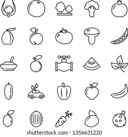 thin line vector icon set - mushroom vector, a bowl of buckwheat porridge, tomato, peach, pomegranate, red apple, blueberry, melon, loquat, date fruit, yellow lemon, banana, sour lime, grapefruit