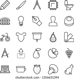 thin line vector icon set - tassel vector, laptop, woman, baby bib, Child T shirt, children's potty, bicycle, color samples, toilet, hedge, move up, porcini, large grape, pear, tasty raspberry, smd