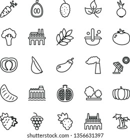thin line vector icon set - tomato vector, beet, garlic, half pomegranate, grape, branch of, large, mulberry, slice tangerine, loquat, carrot, broccoli, eggplant, pumpkin, big solar panel, leaves