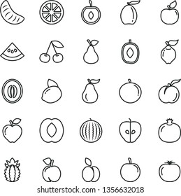 thin line vector icon set - apple vector, pear, cherry, peach, ripe, pomegranate, quince, apricot, red, tasty, water melon, loquat, delicious plum, half, tangerine, slice of, yellow lemon, juicy