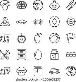 thin line vector icon set - book vector, toys over the cradle, cot, baby bath ball, motor vehicle, funny hairdo, small tools, map, flag, nightstand, package, bundle of eggs, cake, barbecue, fish