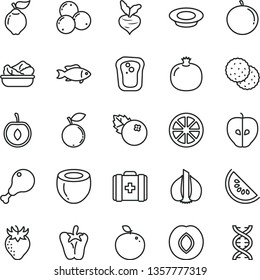 thin line vector icon set - medical bag vector, lettuce in a plate, of milk, chicken leg, peper, fish, blueberries, biscuit, sandwich, pomegranate, quince, tasty apple, plum, strawberry, blueberry