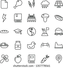 thin line vector icon set - baby rattle vector, duckling, rainy cloud, potty chair, e, lightning, loaf, fried vegetables on sticks, mushroom, a plate of fruit, chicken leg, japanese sushi, jar jam