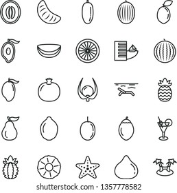 thin line vector icon set - pomegranate vector, fig, melon, water, mango, half of, date fruit, slice tangerine, passion, lime, tamarillo, sour, orange, piece coconut, ripe pineapple, guava, physalis