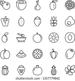 thin line vector icon set - deep plate with a spoon vector, peper, fried egg, blueberries, strawberry, pineapple, mint, apple, pomegranate, raspberry, mulberry, half peach, tangerine, ripe plum