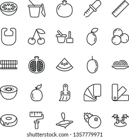 thin line vector icon set - paint roller vector, yardstick, bib, toy sand set, children's, small yule, color samples, sample of colour, plastic brush, onion, cake with a hole, blueberries, cherry