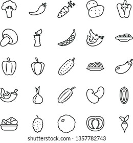 thin line vector icon set - onion vector, slices of, porcini, lettuce in a plate, cabbage, cucumber, chili, peper, mulberry, sweet date fruit, apple stub, half tomato, Bell pepper, ripe, red, hot