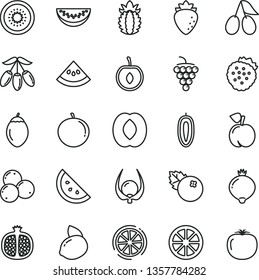 thin line vector icon set - blueberries vector, strawberries, orange slice, peach, half pomegranate, large grape, raspberry, cornels, medlar, goji berry, water melon, tangerine, cherry, yellow lemon