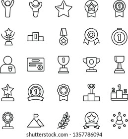 thin line vector icon set - star vector, pedestal, medal, winner, laurel branch, podium, prize, award, cup, gold, reward, man hands up, with, mountain flag, first place, pennant, ribbon, certificate