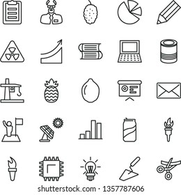 thin line vector icon set - books vector, trowel, tin, soda can, mulberry, lime, pineapple, big solar panel, tower crane, smd, bar chart, pencil, pie charts, light bulb, financial report, mail