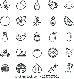 thin line vector icon set - eggs vector, chili, a pineapple, branch of grape, rose hip, melon, slice water, loquat, date fruit, half passion, grapefruit, part guava, persimmon, garlic, carrot, beet