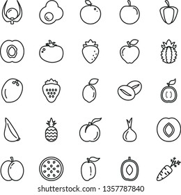 thin line vector icon set - tomato vector, garlic, coffee beans, fried egg, strawberry, a pineapple, ripe peach, apple, half apricot, red, plum, raspberry, delicious, tasty, of passion fruit, guawa