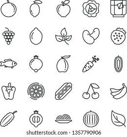 thin line vector icon set - Hot Dog vector, onion, peper, fish, a glass of tea, strawberries, cherry, large grape, squash, red apple, medlar, half, water melon, loquat, tangerine, sweet date fruit