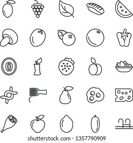 thin line vector icon set - piece of cheese vector, noodles, porcini, a plate fruit, grill chicken leg, peper, japanese sushi, omelette, blueberries, strawberries, apple, orange slice, large grape