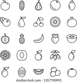 thin line vector icon set - blueberries vector, a pineapple, orange, cherry, pomegranate, quince, strawberry, blueberry, melon, goji berry, half peach, water slice, sweet date fruit, banana, kiwi