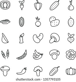 thin line vector icon set - fried vegetables on sticks vector, slices of onion, mushroom, porcini, cucumber, beet, garlic, squash, mulberry, sweet date fruit, apple stub, half tomato, ripe pepper