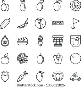 thin line vector icon set - wicker pot vector, pennant, building level, lettuce in a plate, cabbage, cucumber, peper, glass of tea, apple, squash, apricot, strawberry, rose hip, mango, half loquat