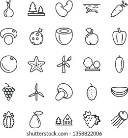 thin line vector icon set - porcini vector, carrot, orange, peach, branch of grape, large, pear, mulberry, date fruit, piece coconut, half, ripe pineapple, Bell pepper, onion, beans, mashroom, trees