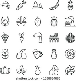 thin line vector icon set - garden trolley vector, beet, a pineapple, mint, half pomegranate, branch of grape, large, squash, rose hip, cornels, mulberry, tasty, ripe, physalis, carrot, peas, radish