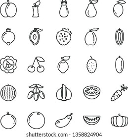 thin line vector icon set - strawberries vector, cherry, apple, squash, quince, rose hip, medlar, mulberry, water melon, half of mango, loquat, goji berry, slice, date fruit, tangerine, sweet, lemon