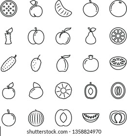 thin line vector icon set - cucumber vector, pear, peach, ripe, apple, pomegranate, apricot, tasty mulberry, water melon, loquat, delicious plum, half, slice, tangerine, of, yellow lemon, juicy