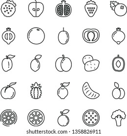 thin line vector icon set - blueberries vector, strawberry, strawberries, apple, ripe peach, half pomegranate, quince, tasty, medlar, of, blueberry, delicious plum, slice tangerine, passion fruit