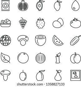 thin line vector icon set - drop vector, eggs, mushroom, lettuce in a plate, tomato, pear, orange slice, apple, half pomegranate, large grape, blackberry, water melon, mango, of, loquat, coconut